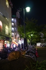 え？にゃに？