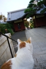 夕方ですねぇ～