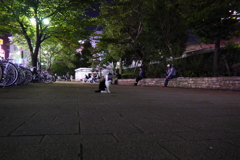 やみにかくれて・・・ないか