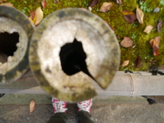 P1000534