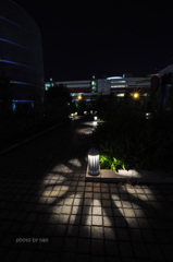 photo 01