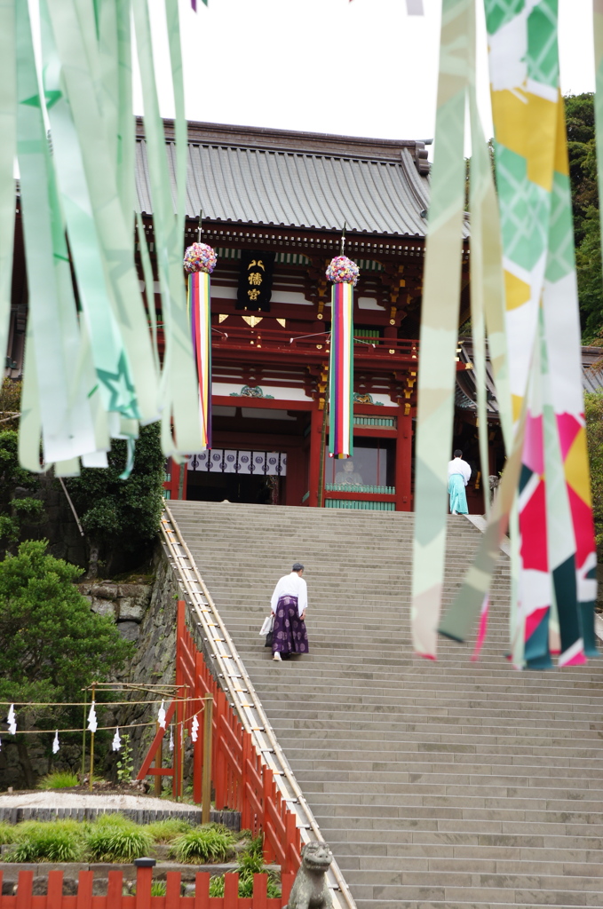 七夕の装い〜朝の大階段〜
