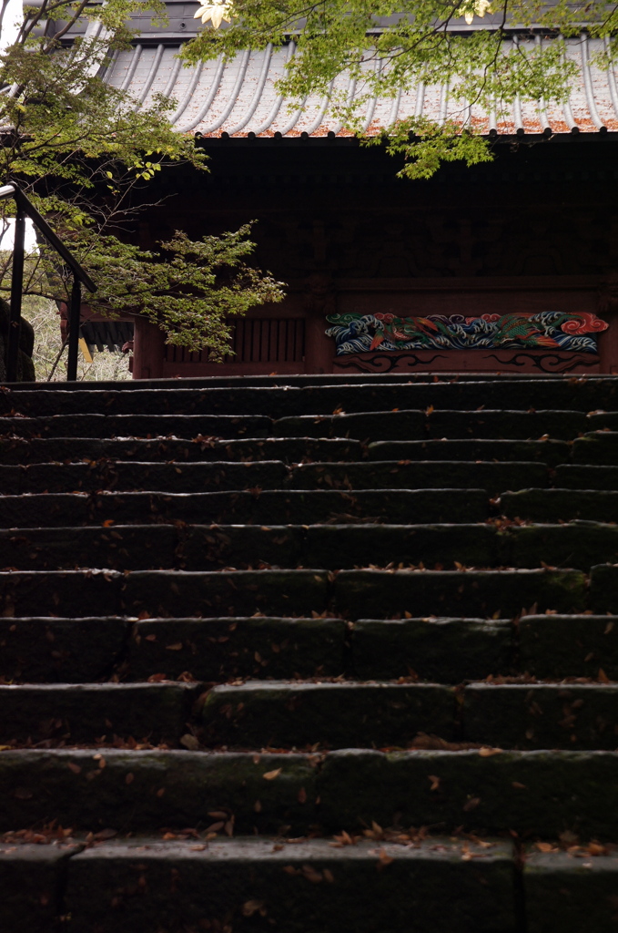 嵐の後の妙本寺 二天門（2/？）