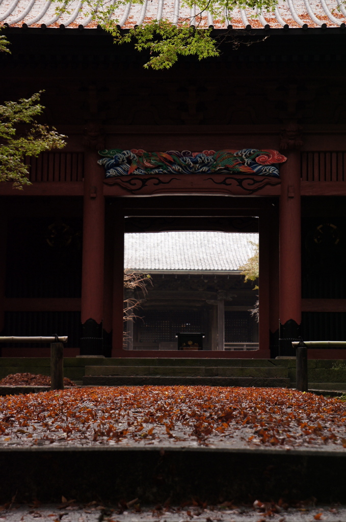 嵐の後の妙本寺 二天門（3/？）