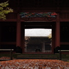 嵐の後の妙本寺 二天門（3/？）