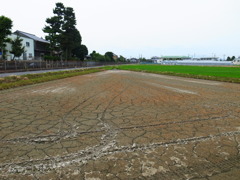 R9315666