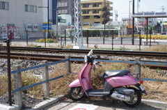 IMGP7205