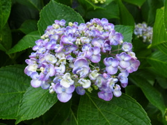 R9315664