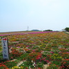 R9312826