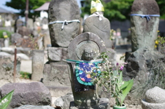 IMGP7202
