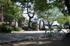 IMGP7194