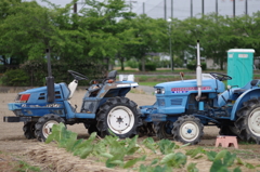 IMGP7380