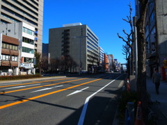 キンキンに冷えてやがる。