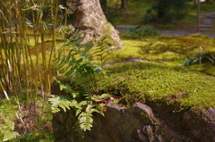 有茶庵６