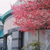 としょ
