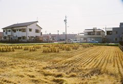 秋
