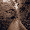 P9150798