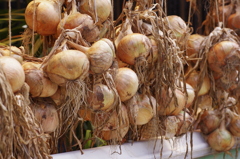 かんそうたまねぎ