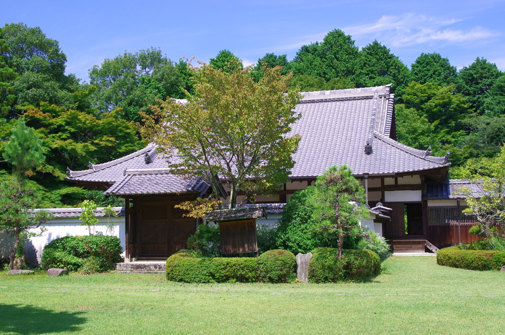 沢庵の寺