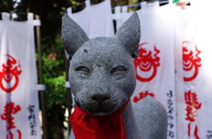 IMGP5126