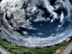 もうひとつの地球