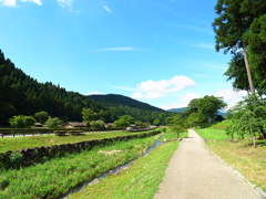 R9312984