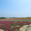 R9312817