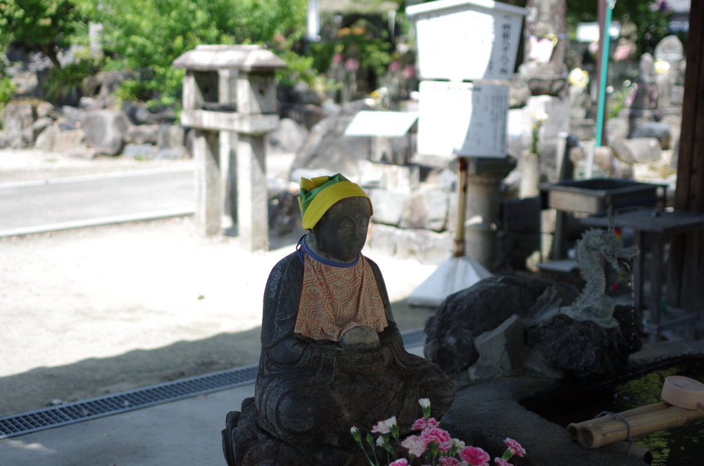 IMGP7195