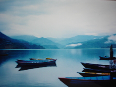DSC01146