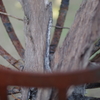 IMGP0281