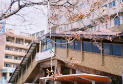 犬山駅