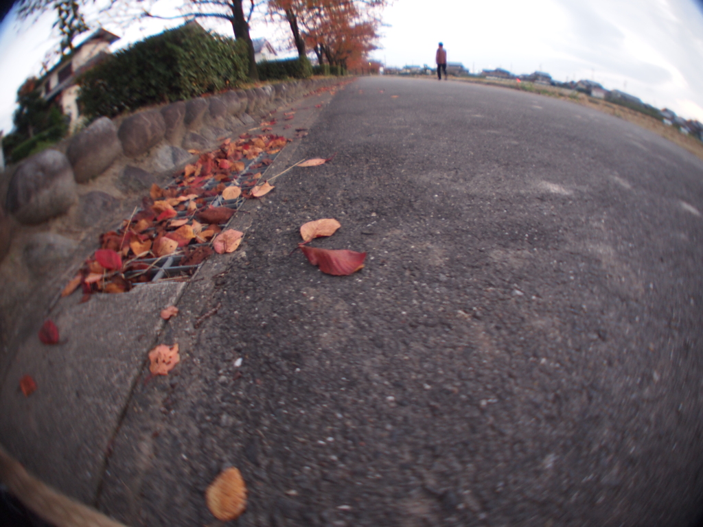 ＧＲっぽい写真