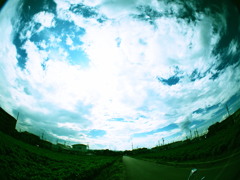 クロスプロセスいいね。