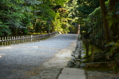 道