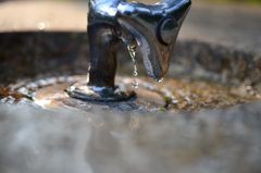 水飲み