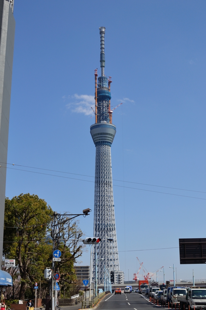 スカイツリー
