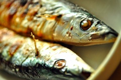 秋刀魚