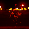 街路灯下の赤い華