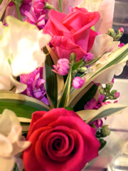 ワイン色の薔薇