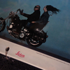 Harley Davidson in CHERRY