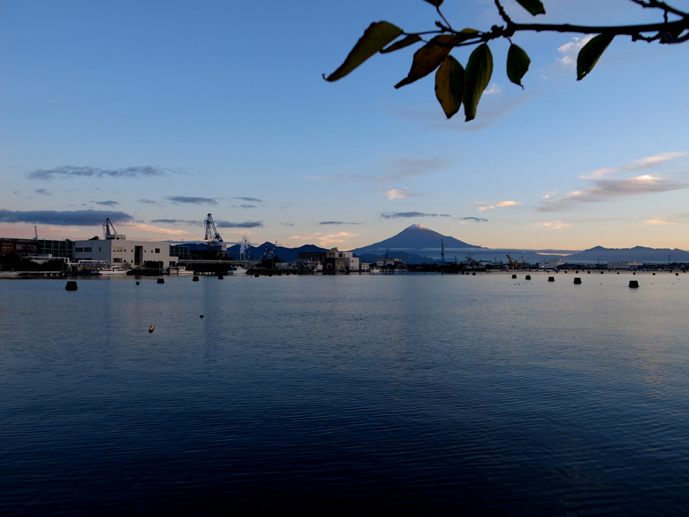 晩秋早朝富士山 １