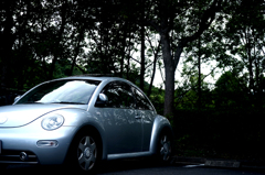 Beetle Volkswagen