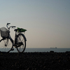 海と自転車