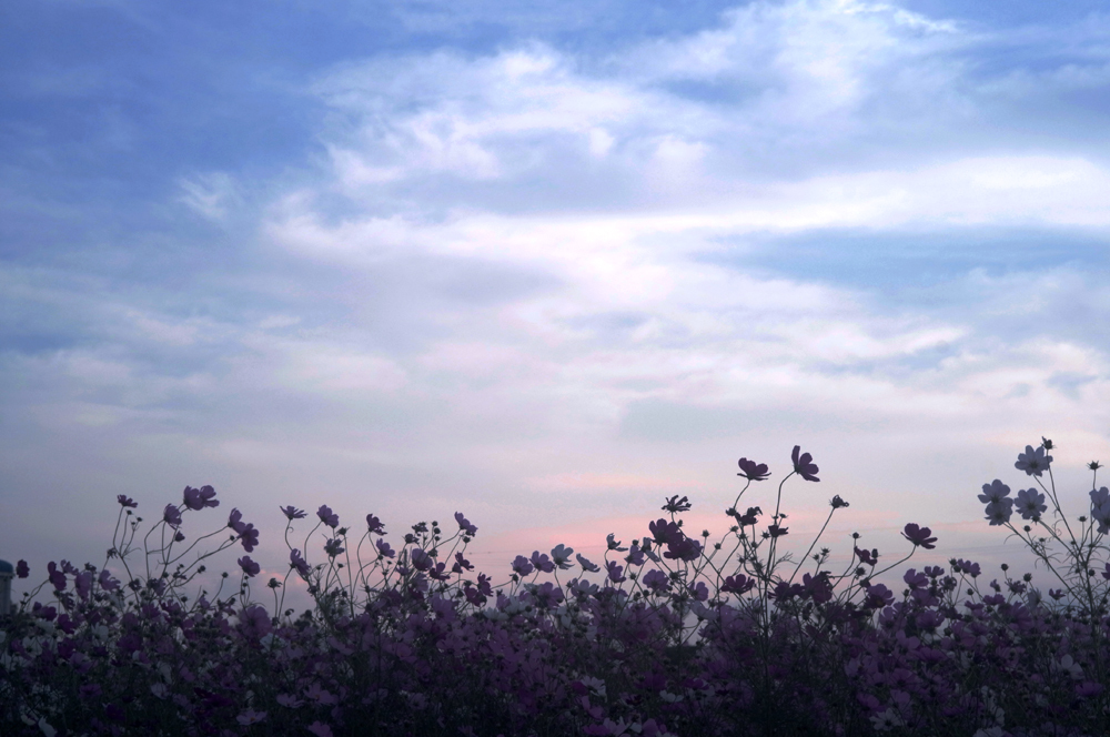 茜空