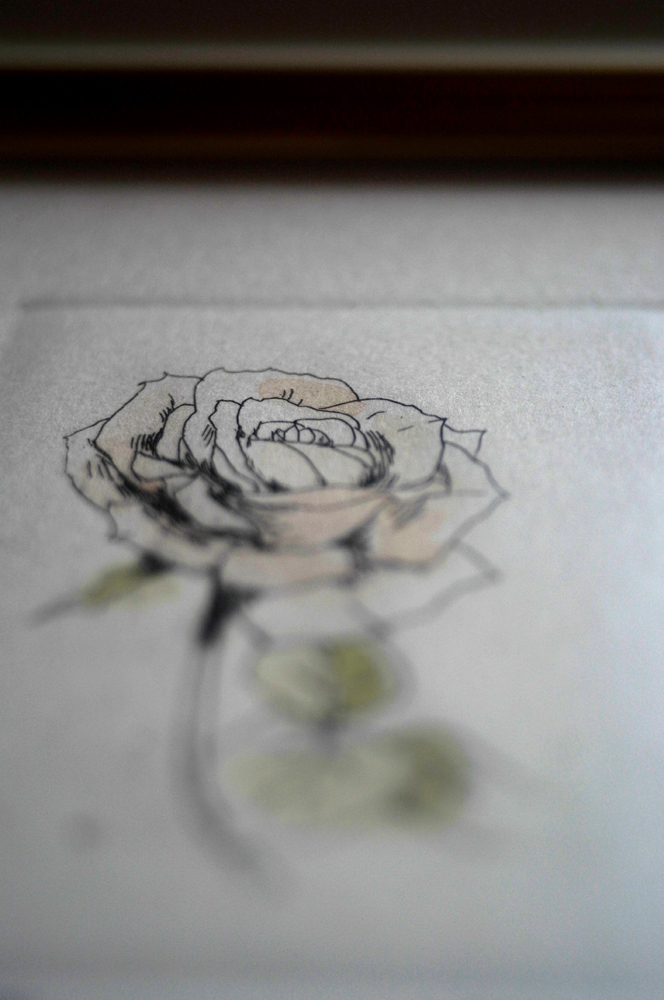 壁に咲く薔薇