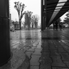 秋雨のマイタウン
