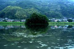 麻機沼