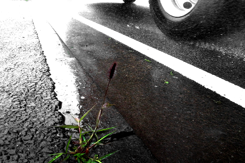雨の歩道
