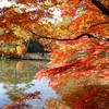 紅葉日記