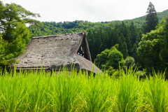 原風景